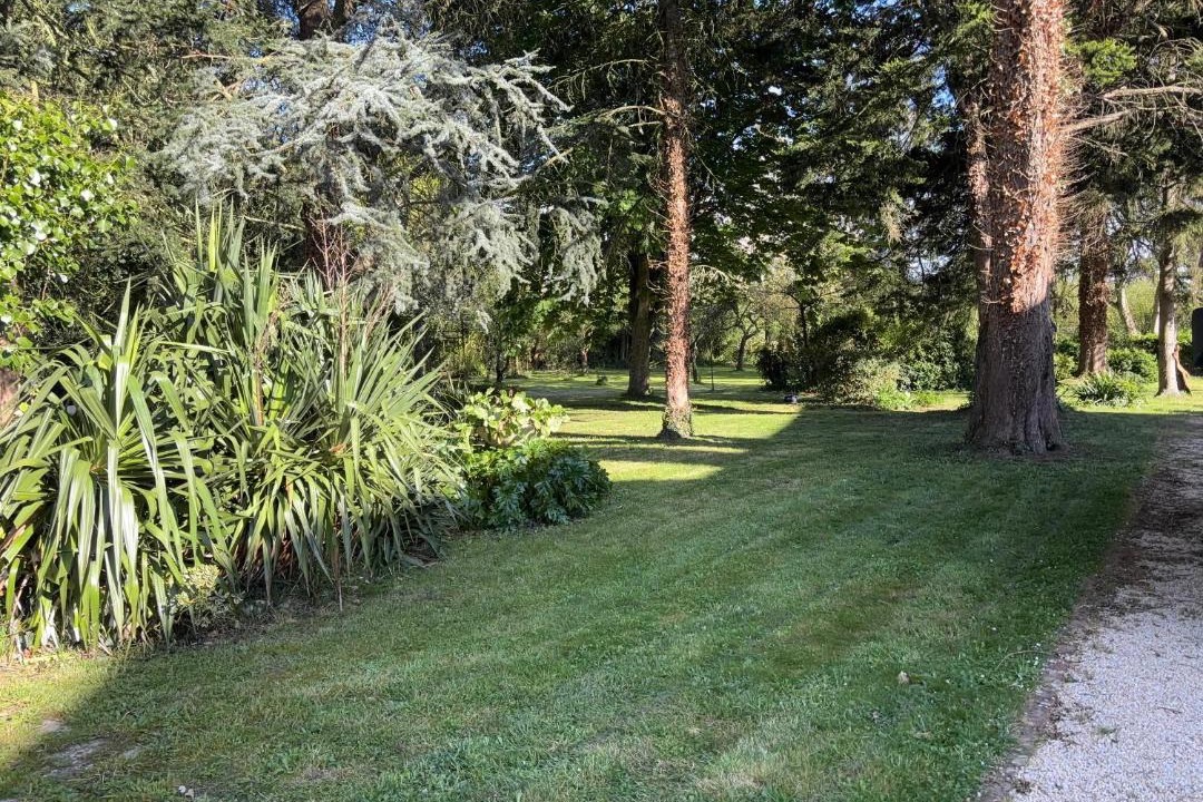 Photo of Outdoor in Tremeur