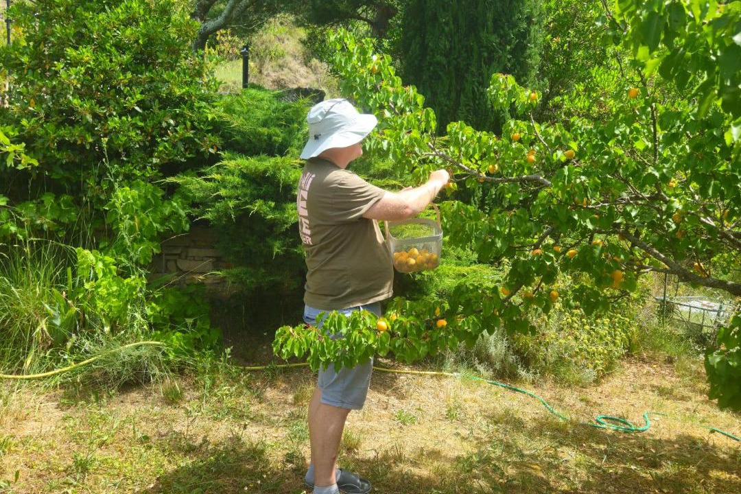 Photo of Others in Quillan