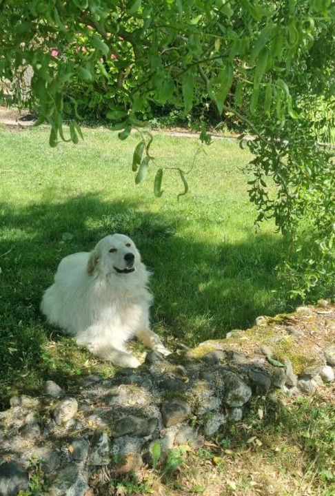 Photo of Outdoor in Buzy