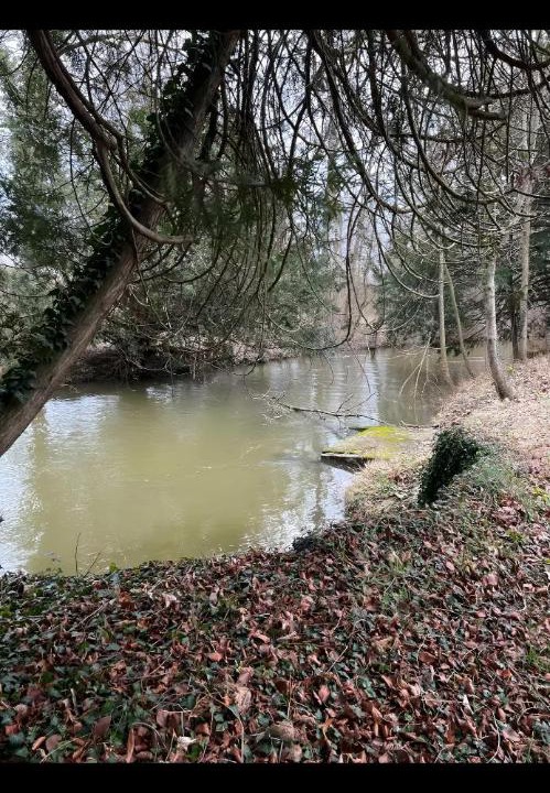 Photo of Others in Sillery