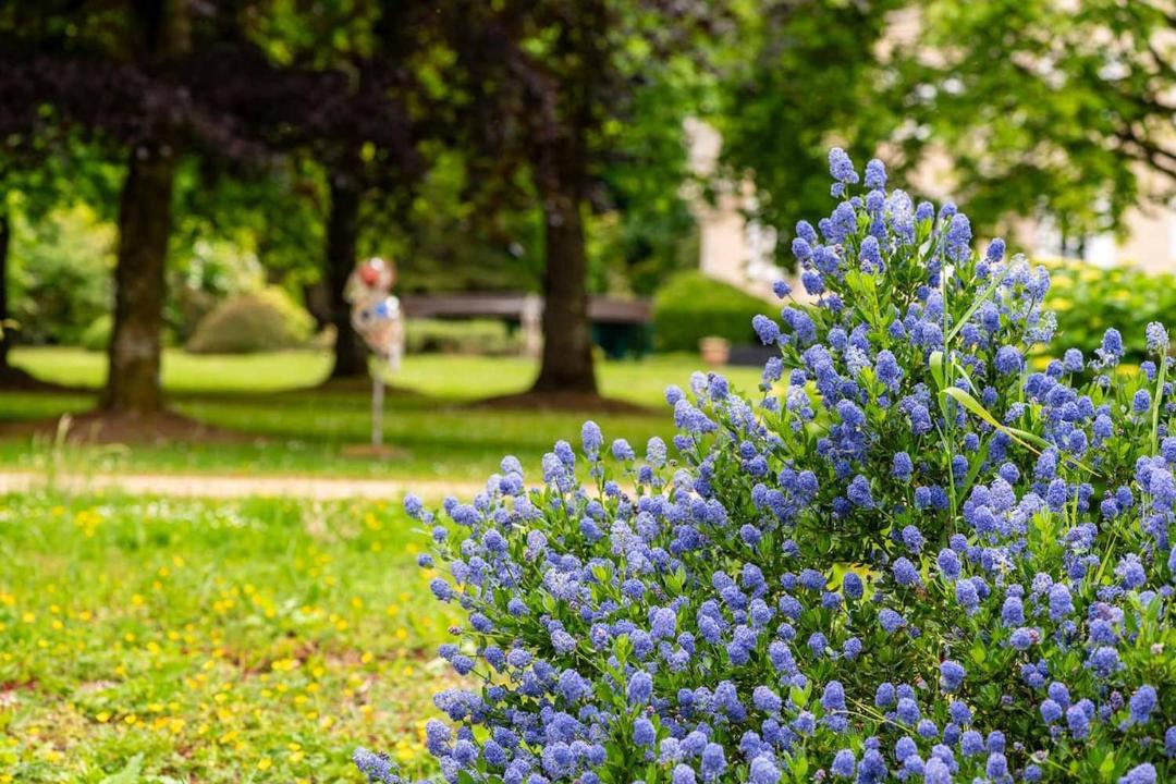 Photo of Outdoor in Plemet