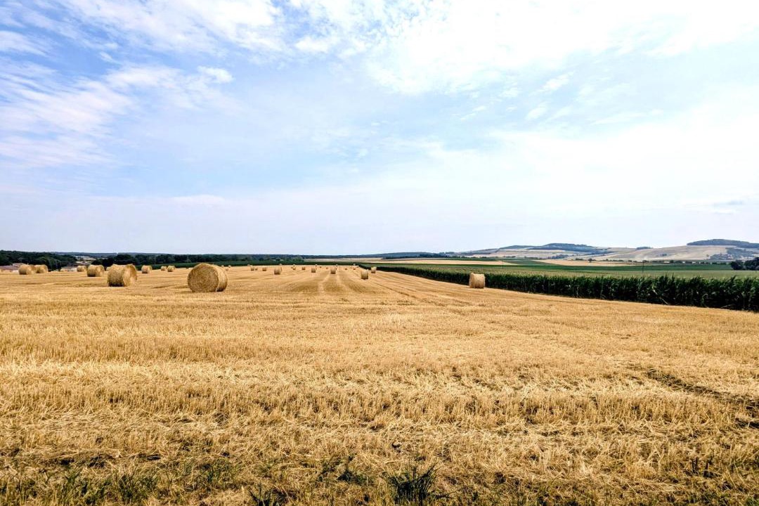 Photo of Others in Manoncourt sur Seille-Belleau