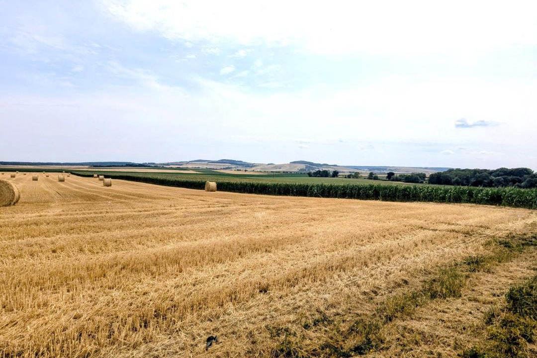 Photo of Others in Manoncourt sur Seille-Belleau