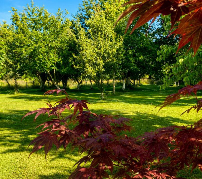 Photo of Outdoor in Cohiniac