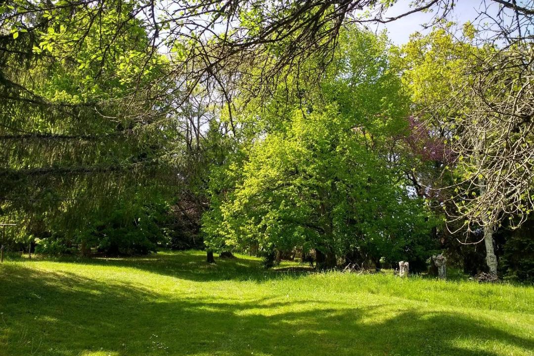 Photo of Others in Saint-Gaudens