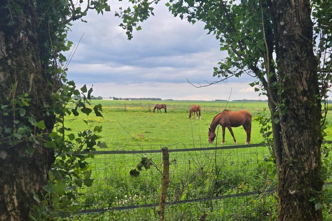 Photo of Others in Choisy-en-Brie