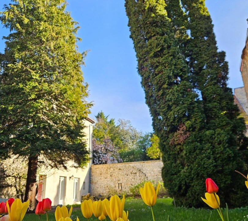 Photo of Others in Langres