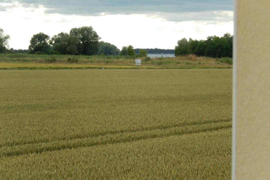 Photo of Others in Dienville