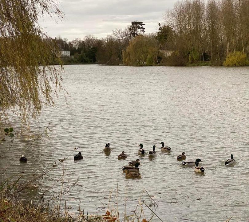 Photo of Others in Nogent-sur-Seine