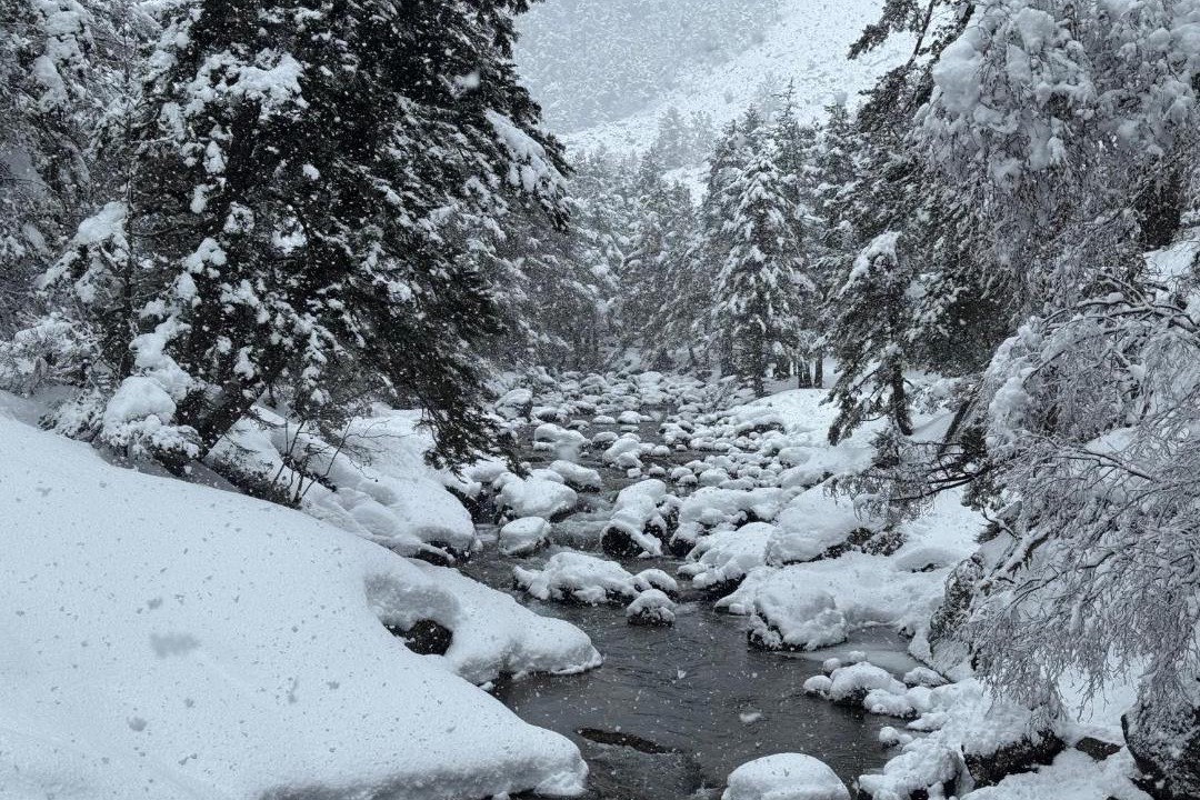 Photo of Others in Cauterets