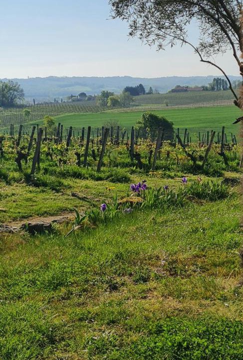 Photo of Others in Maumusson-Laguian