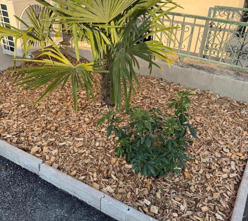 Photo of Outdoor in Bron