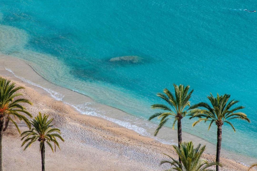 Photo of Others in Beaulieu-sur-Mer