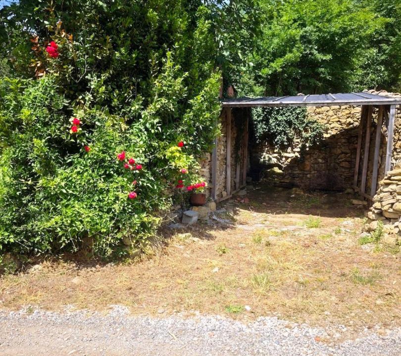 Photo of Others in Montazels