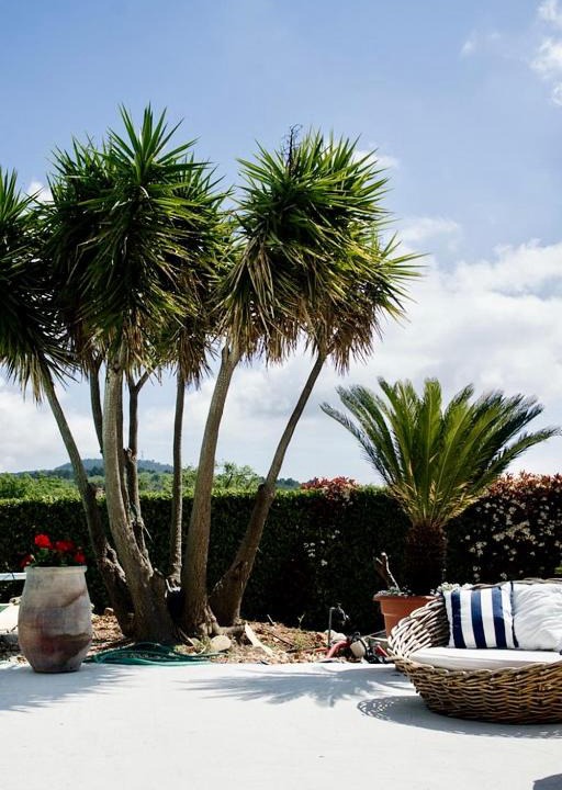 Photo of Others in Saint-Cezaire-sur-Siagne