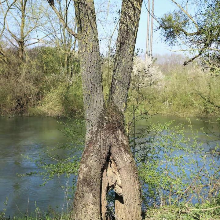 Photo of Others in Brienon-sur-Armancon