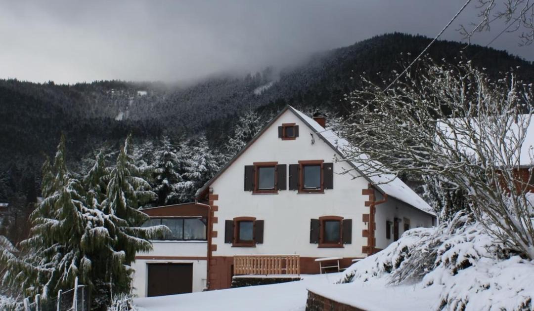 Photo of Others in Wangenbourg-Engenthal