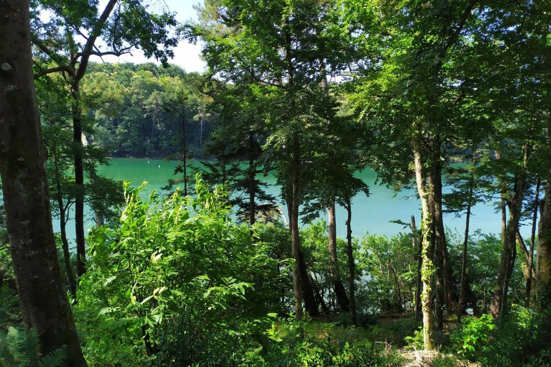 Photo of Others in Riec-sur-Belon