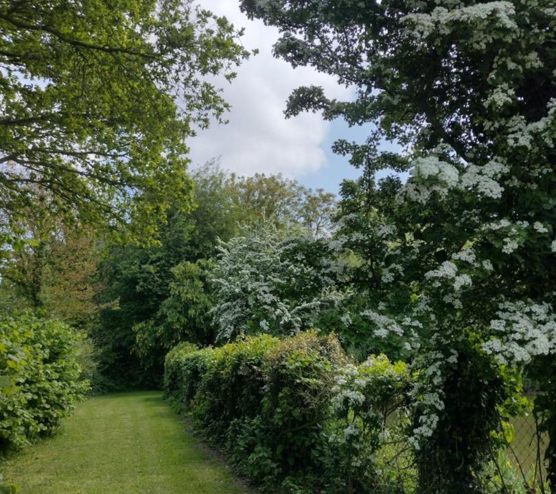 Photo of Outdoor in Lamballe
