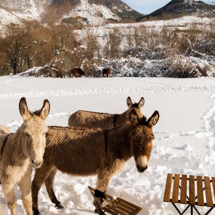 Photo of Others in Escouloubre