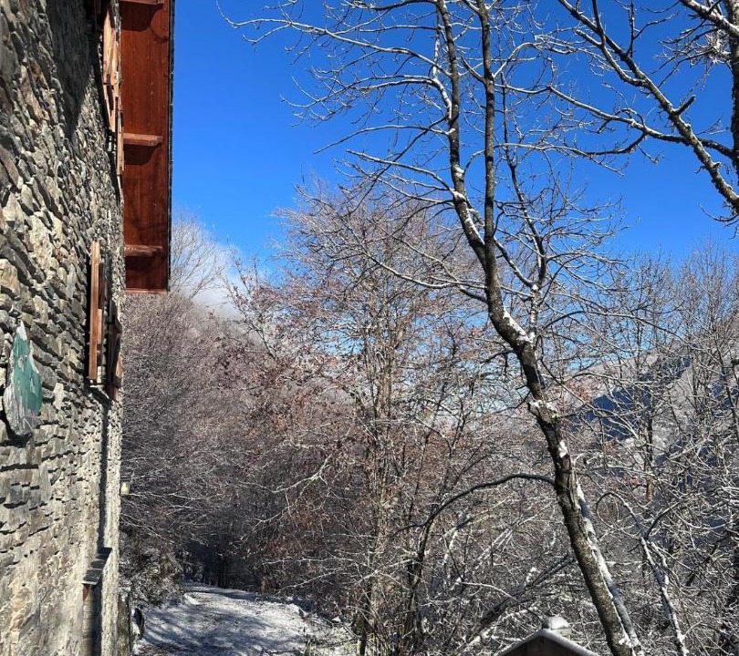 Photo of Others in Viscos