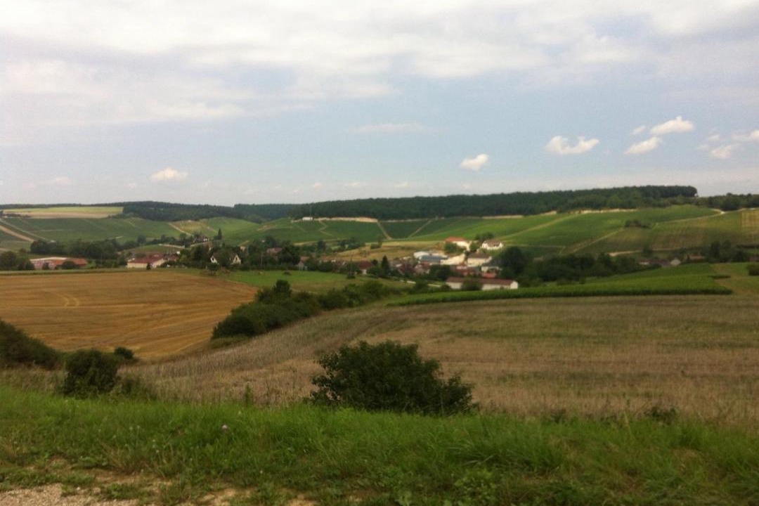 Photo of Others in Noe-les-Mallets