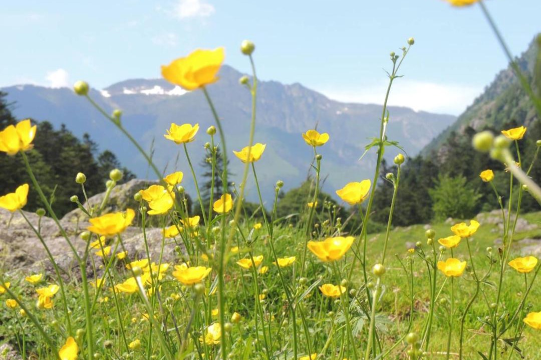 Photo of Others in Cauterets