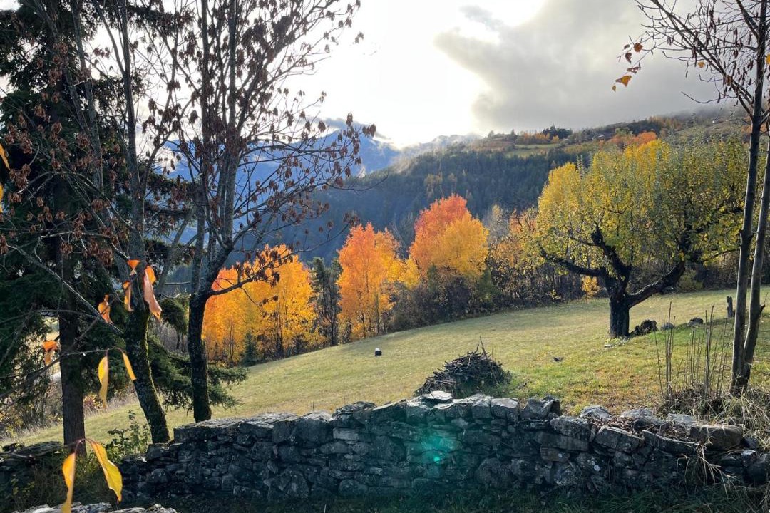Photo of Others in Faucon-de-Barcelonnette