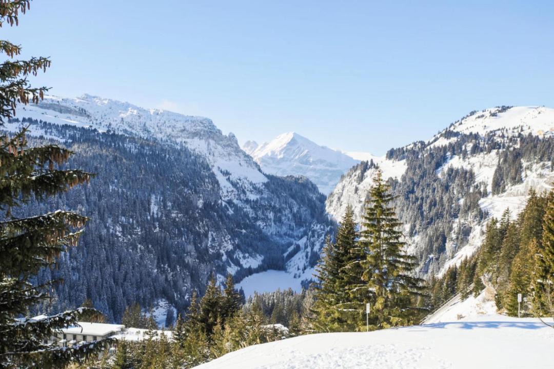 Photo of Others in Flaine