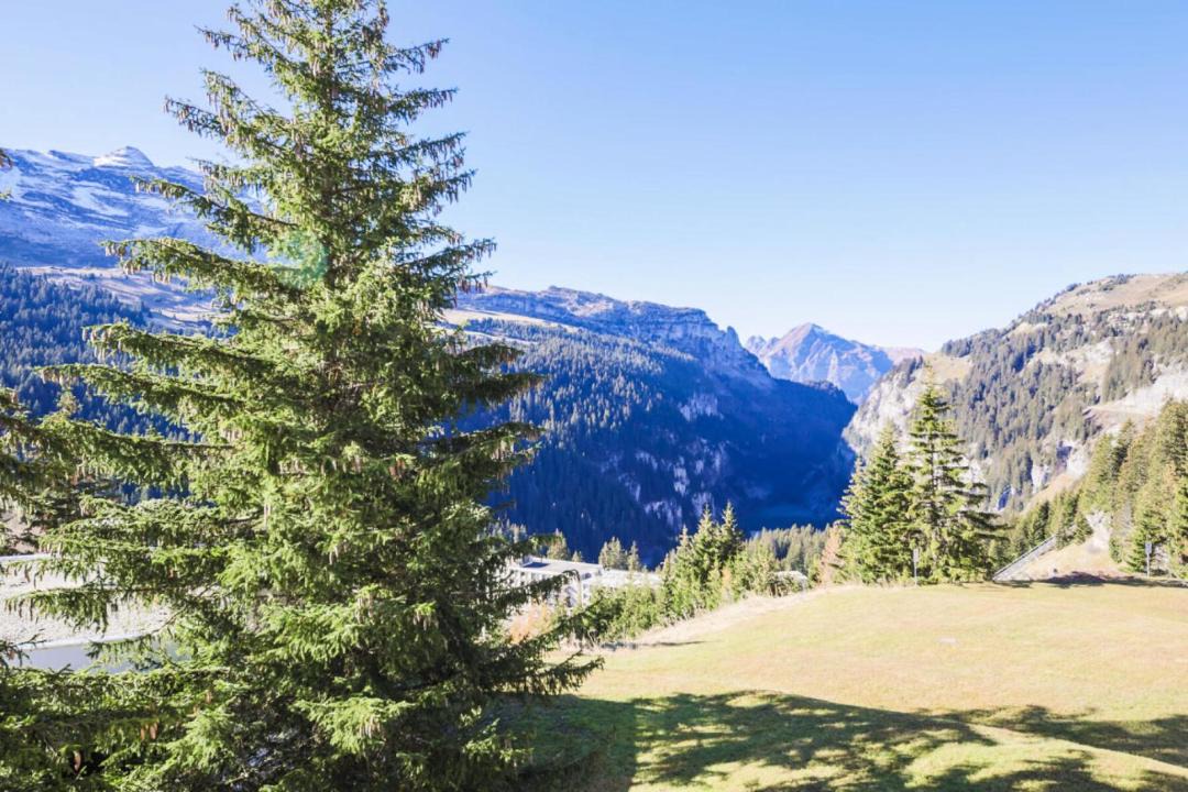 Photo of Others in Flaine
