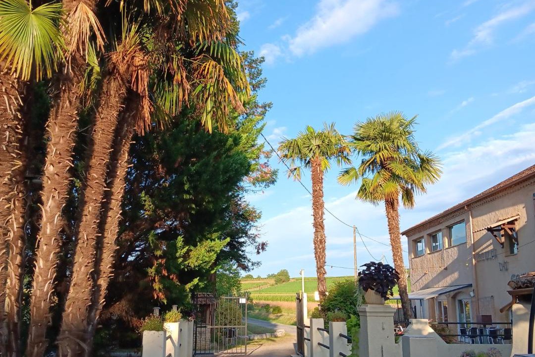 Photo of Others in Bourrouillan