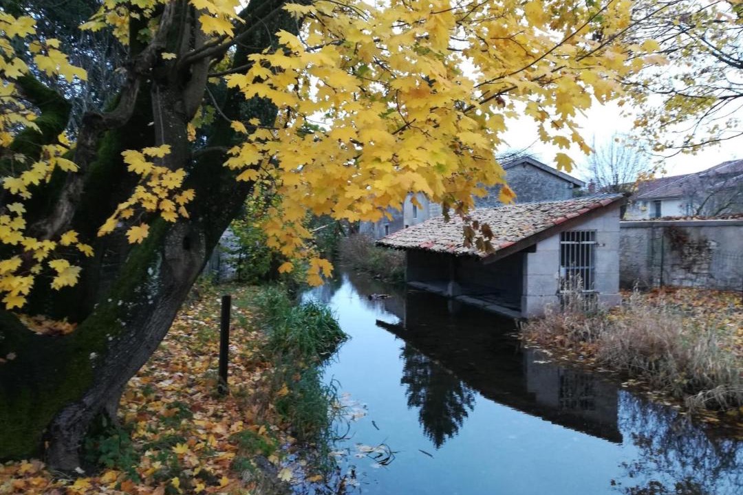 Photo of Others in Dieue-sur-Meuse