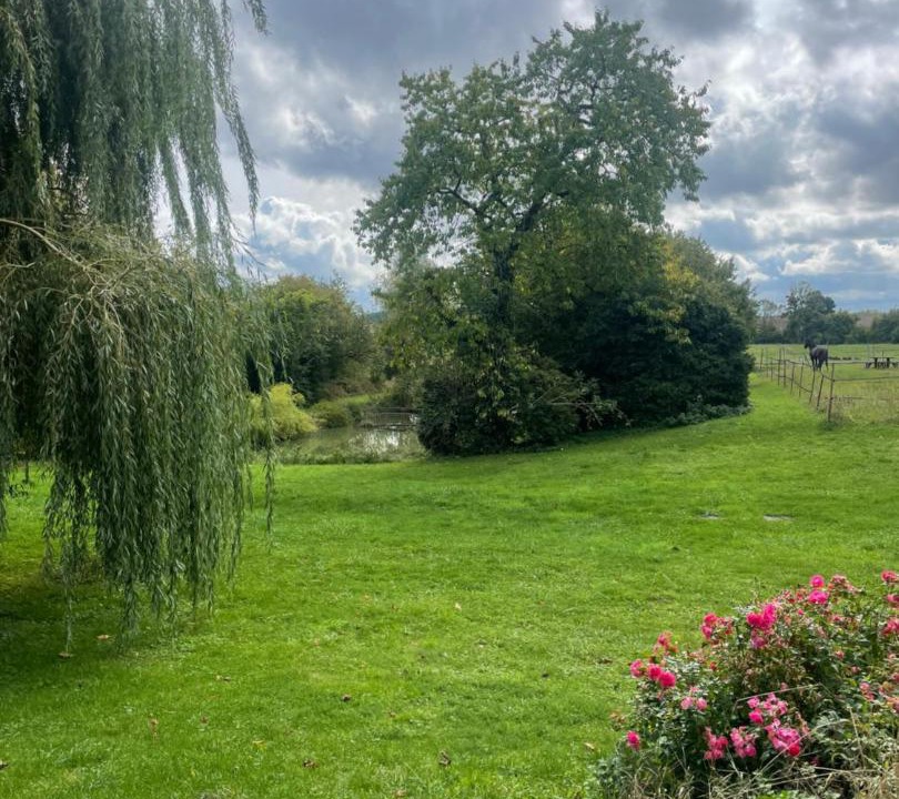 Photo of Others in Chuffilly-Roche
