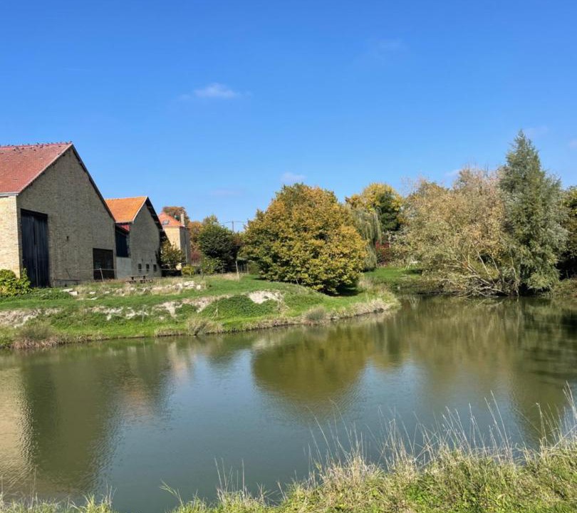 Photo of Others in Chuffilly-Roche