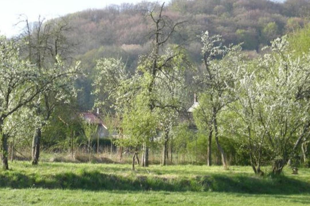 Photo of Others in Halles-sous-les-Cotes