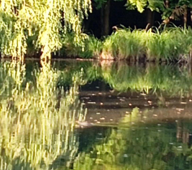 Photo of Others in Mauregny-en-Haye