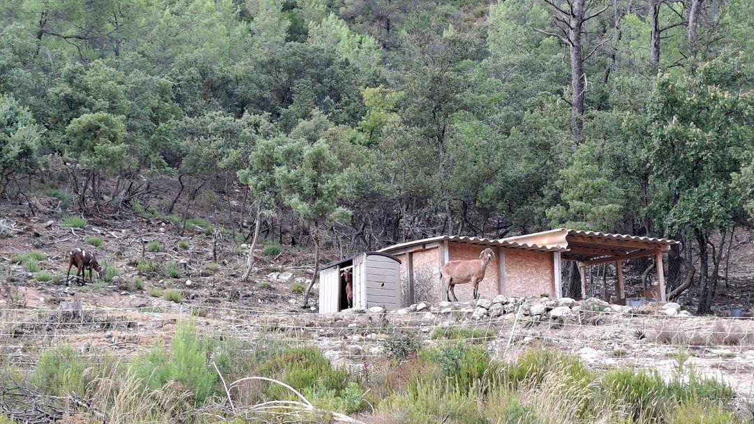 Photo of Others in Le Val
