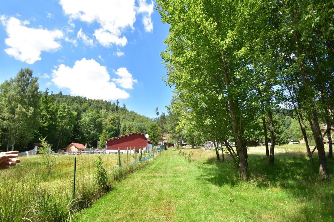 Photo of Others in Turquestein-Blancrupt