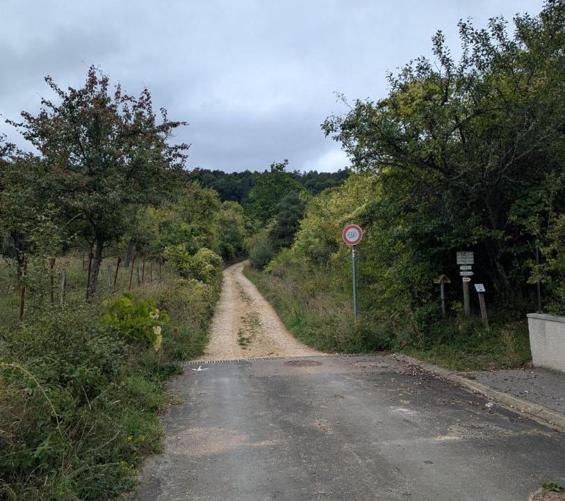 Photo of Others in Pagny-sur-Morselle