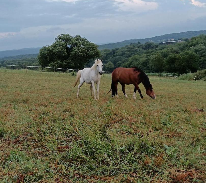 Photo of Others in Laguian-Mazous