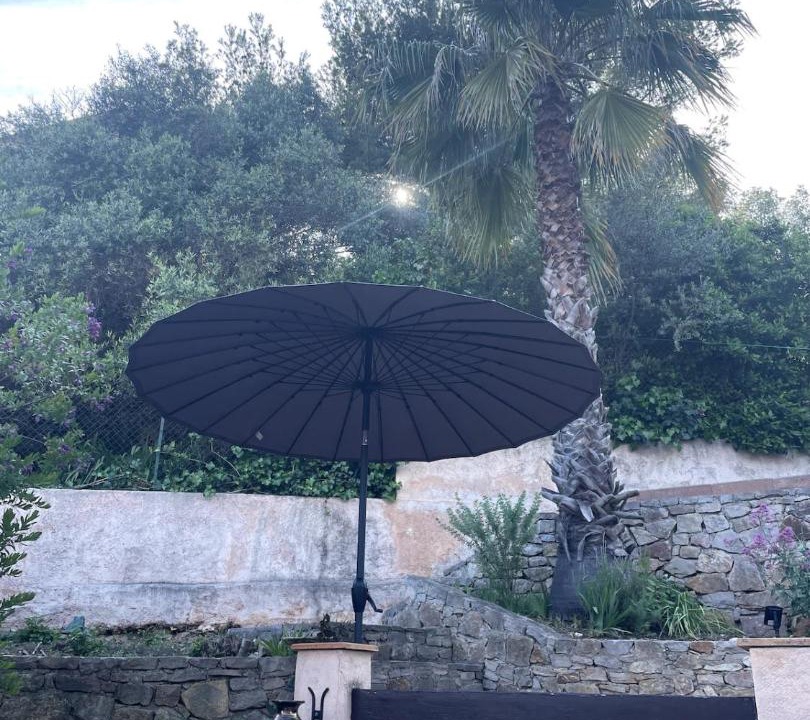 Photo of Others in Bandol