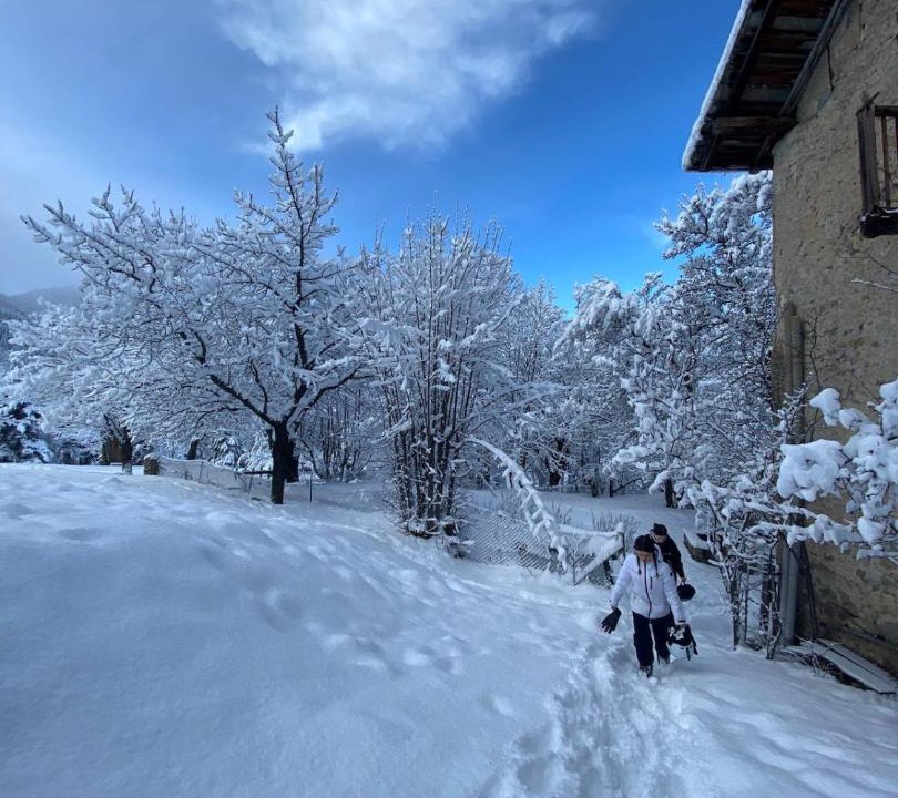 Photo of Others in Jausiers