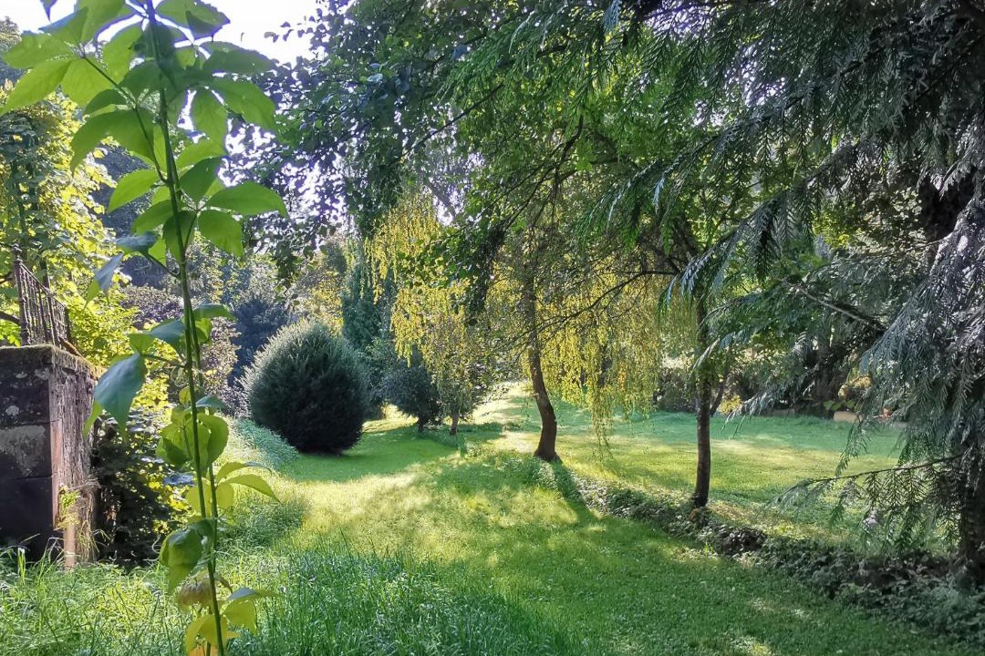 Photo of Others in Hagecourt