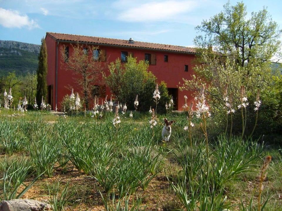 Photo of Buildings in Plan-d'Aups-Sainte-Baume
