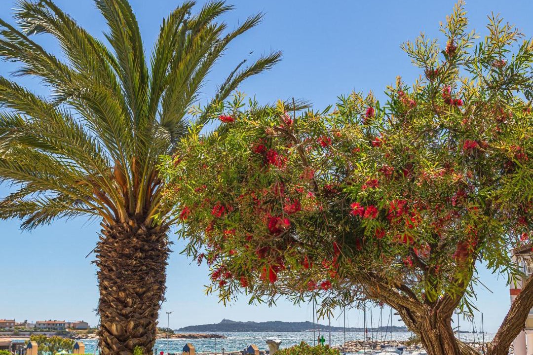 Photo of Others in Six-Fours-les-Plages