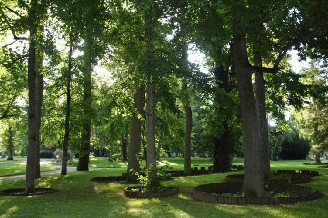 Photo of Others in Vittel