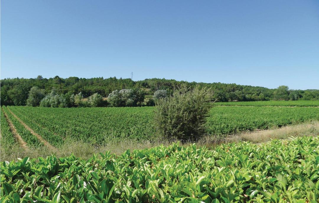 Photo of Others in Fontareches