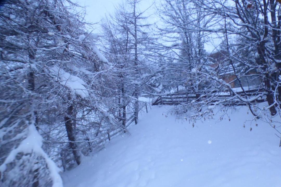 Photo of Others in Orcieres-Merlette