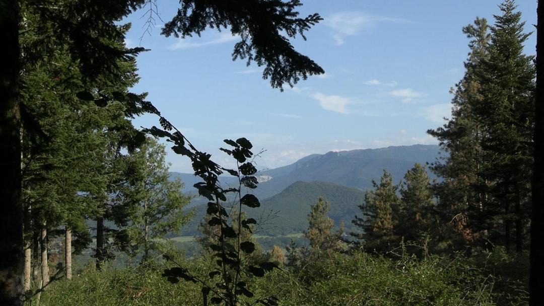 Photo of Others in Rieucaze