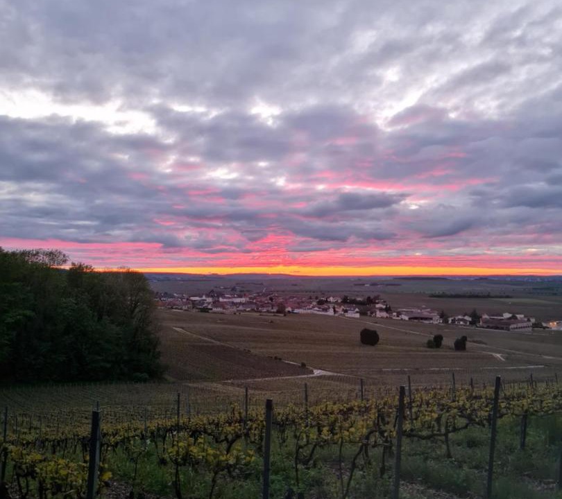 Photo of Others in Mailly-Champagne